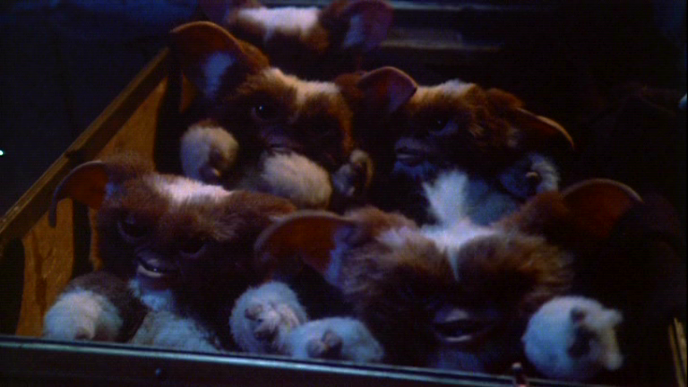 Mogwai_group