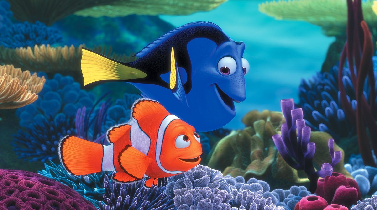dory