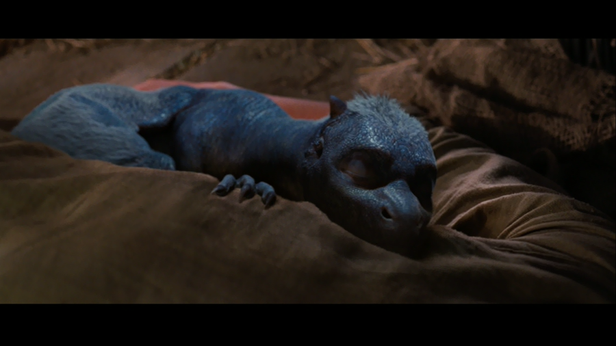 baby_saphira_by_badwolf101-d4cylm4