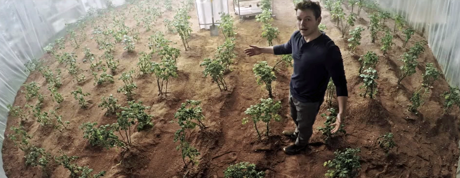 the-martian-plant-life