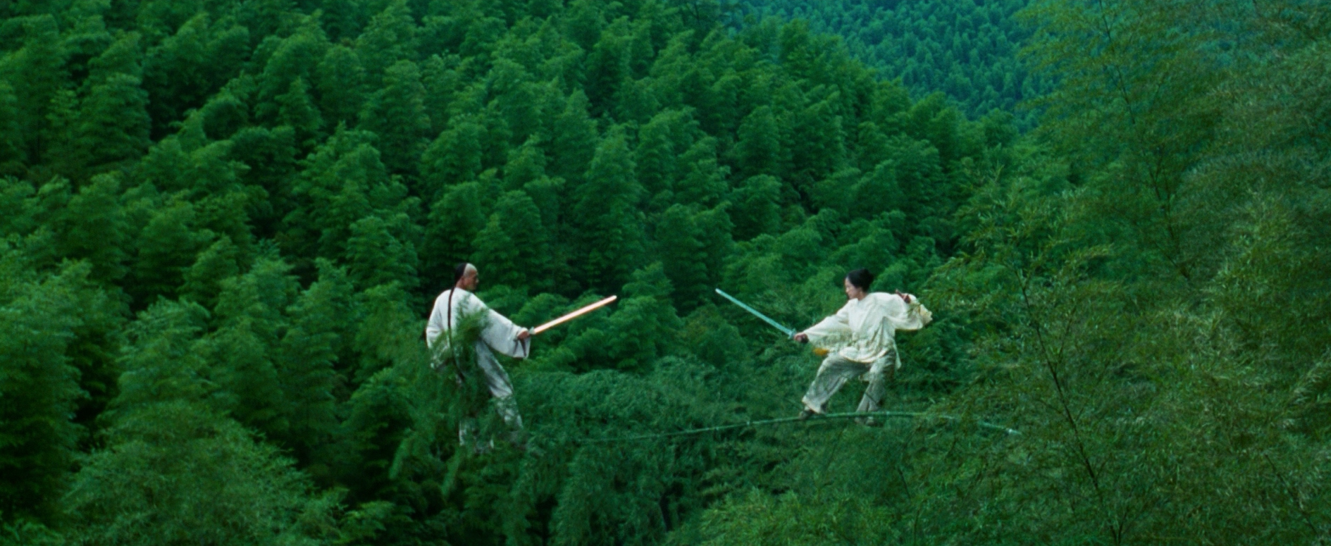 crouching-tiger-hidden-dragon-wo-hu-cang-long-2000-fight-sequence-movie-still