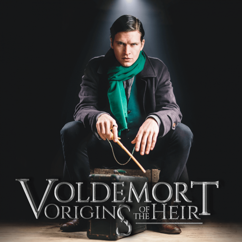 voldemort origins of the heir