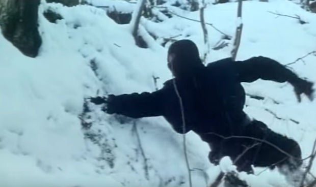 The ninja mission