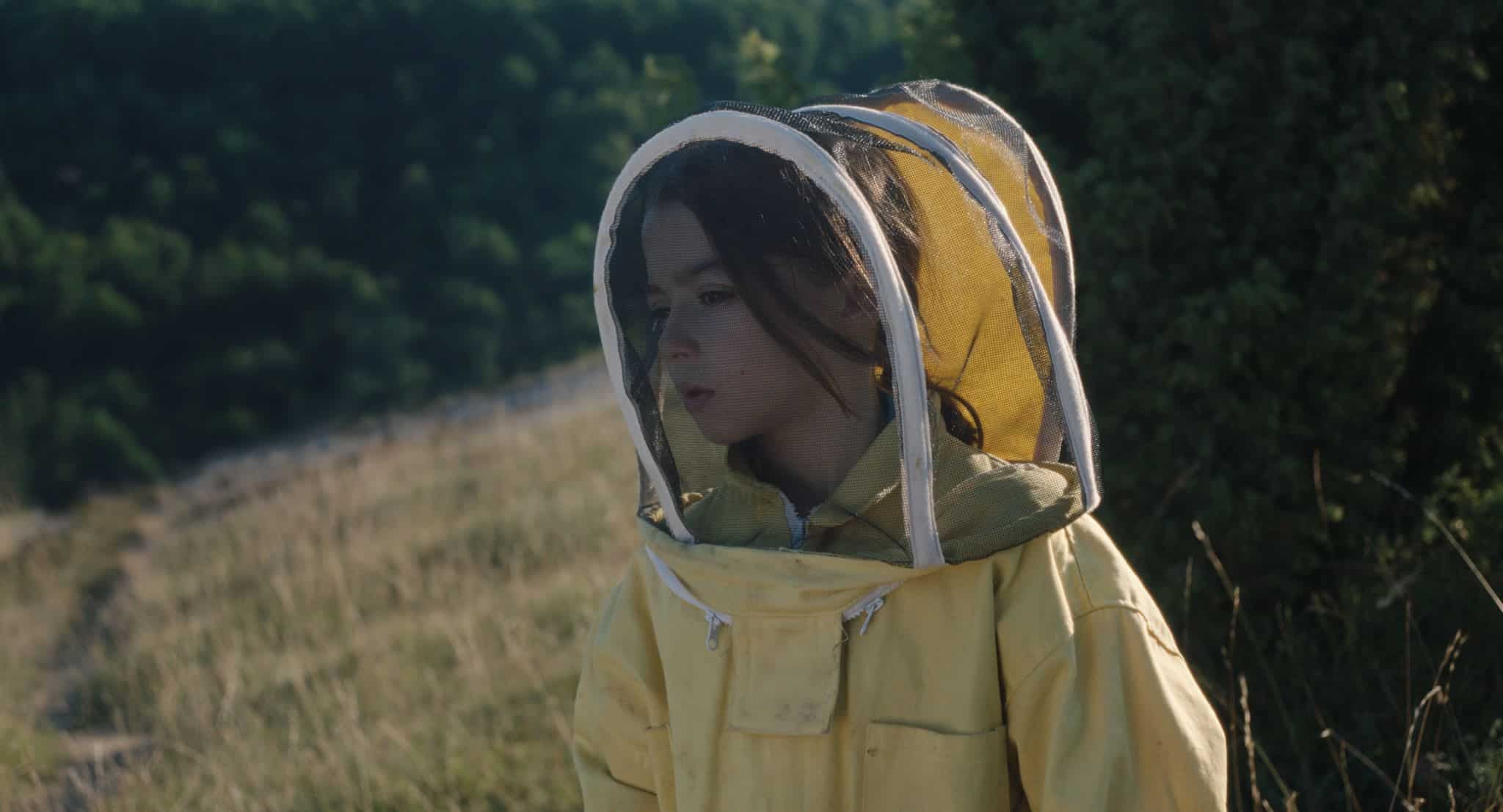 '20.000 especies de abejas'
