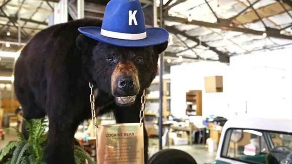 Pablo Eskobear, el cocaine bear de veritat