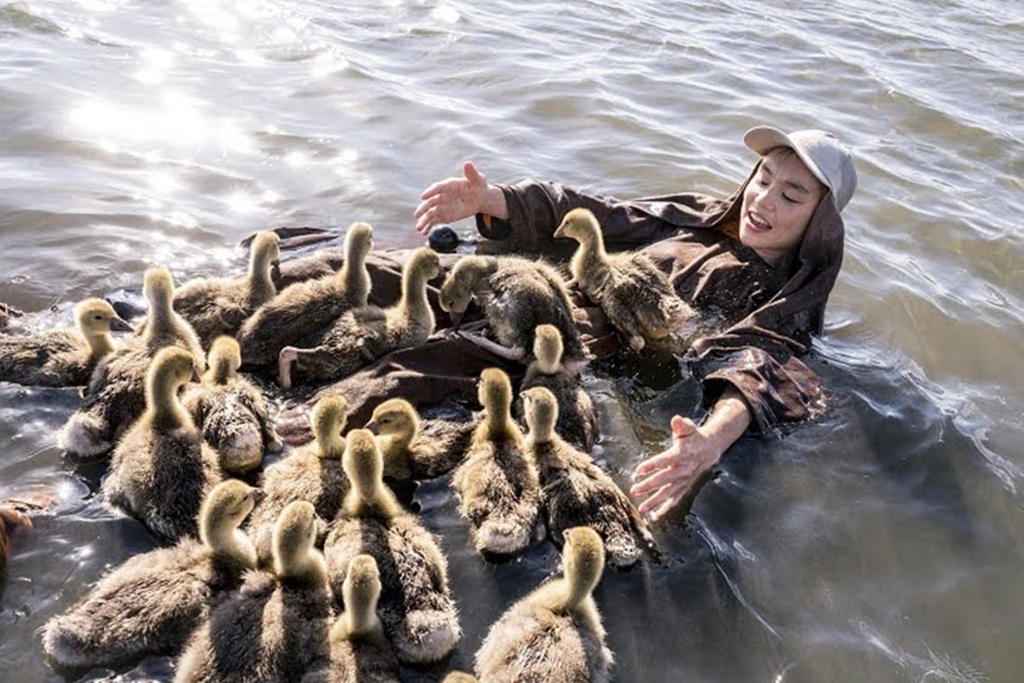 Donne-moi des ailes (2019)