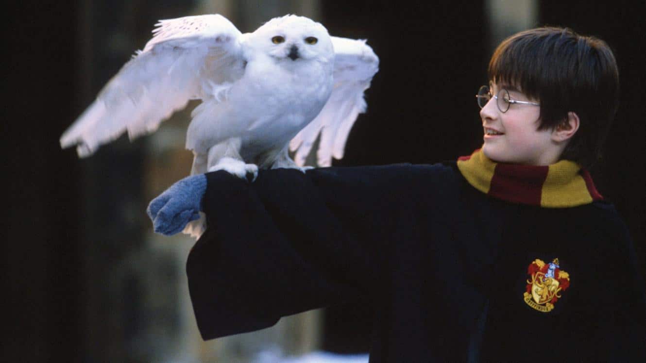 Harry Potter i la Pedra Filosofal (2001)