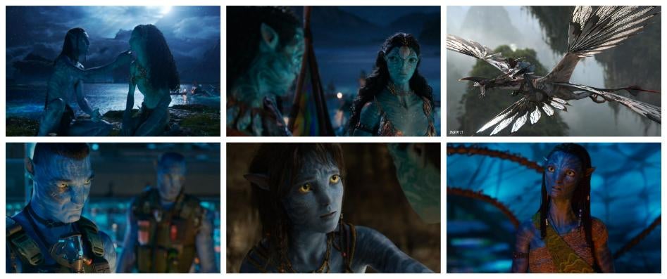 Avatar 3 catal&agrave;