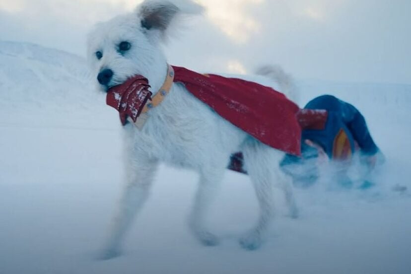 krypto 2025
