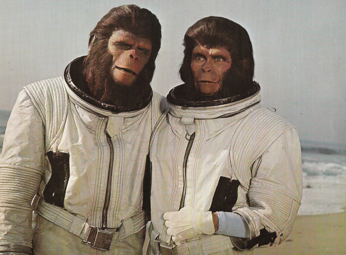 The planet of the apes