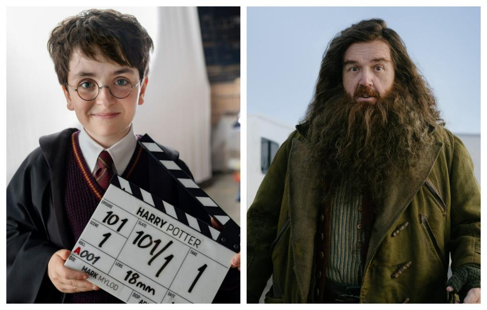 Harry potter serie