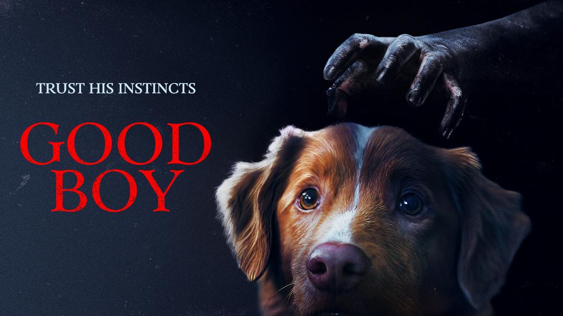 God boy dog